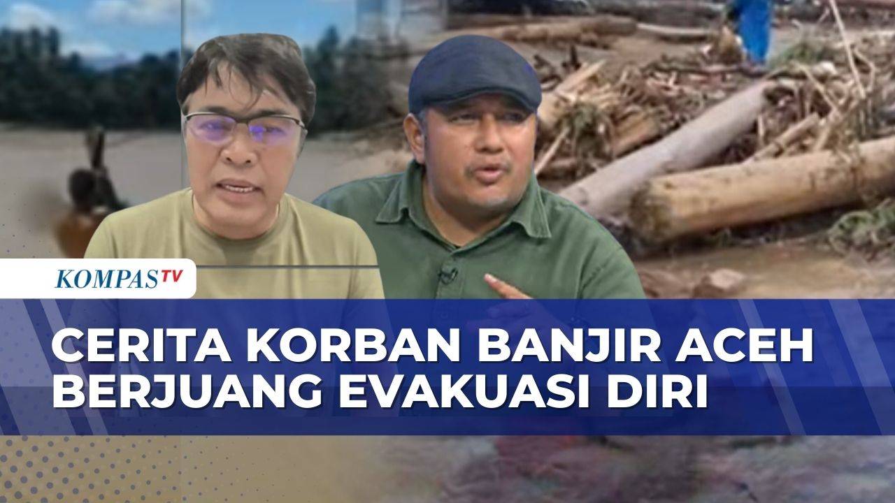 Banjir Bandang Aceh: Korban Berjalan 2 Hari 3 Malam, Aktivis Ungkap Deforestasi Tembus 4 Kali Lipat
