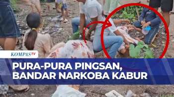 Dramatis! Wanita Diduga Bandar Narkoba Masuk DPO Usai Kabur Saat Penangkapan | BORGOL