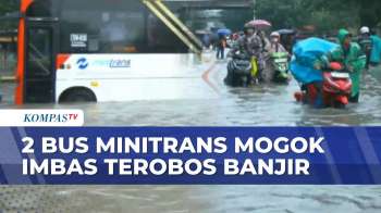 Lintasi Banjir Jakarta, Begini Penampakan Bus Minitrans Hingga Sepeda Motor Mogok | KOMPAS PETANG