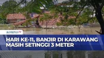 20 Desa Di Karawang Masih Terendam Banjir, Ketinggian Air Capai 3 Meter | SAPA MALAM