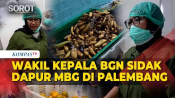 Sidak Dapur MBG, Wakil Kepala BGN Temukan Makanan Busuk Hingga Masak Tak Sesuai Prosedur