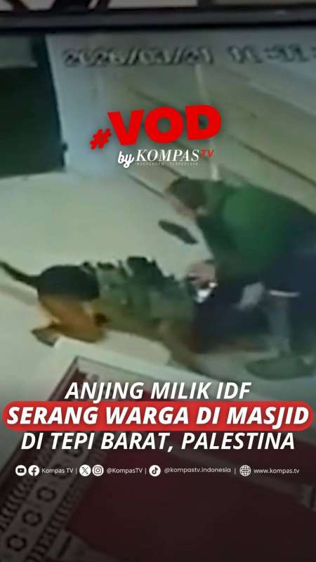 ANJING MILIK IDF SERANG WARGA DI MASJID TEPI BARAT, PALESTINA