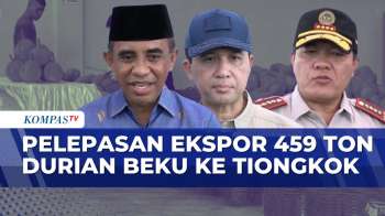 459 Ton Durian Beku Diekspor Dari Palu Ke Tiongkok | JURNAL NUSANTARA