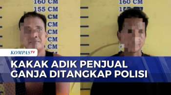 Kakak Adik Pengedar Ganja Di Banyuasin Ditangkap, Polisi Amankan 37 Gram Barang Bukti | BORGOL