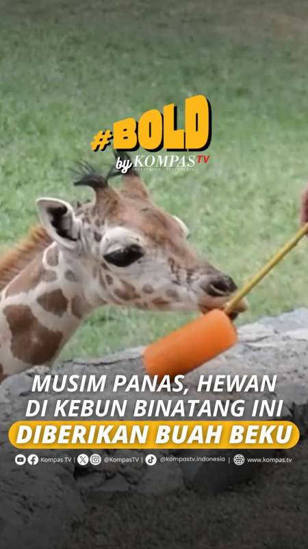 MUSIM PANAS, HEWAN DI KEBUN BINATANG INI DIBERIKAN BUAH BEKU