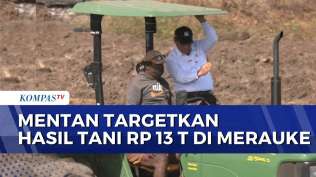 mentan-tinjau-kawasan-pertanian-di-merauke-targetkan-hasil-tani-kompas-siang