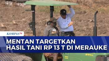 Mentan Tinjau Kawasan Pertanian di Merauke, Targetkan Hasil Tani  | KOMPAS SIANG