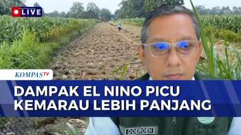 Kepala Stasiun Klimatologi Jateng Bahas Soal Prediksi Kemarau 2026, Apa Dampaknya?