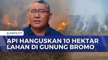 Luas Lahan Terbakar Di Bromo Diperkirakan Capai 10 Hektar, Medan Terjal Hambat Pemadaman