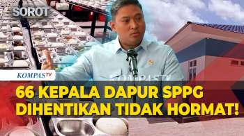 BGN Pecat 66 Orang Kepala Dapur SPPG! Terlibat Judi Online Hingga Ngaku Kena Phising