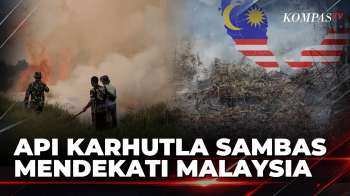 Api Karhutla Di Sambas Meluas, Asap Mendekati Perbatasan Indonesia-Malaysia | KOMPAS PAGI