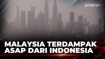 Terdampak Kabut Asap Karhutla dari Indonesia, Sejumlah Sekolah di Malaysia Libur | KOMPAS PETANG