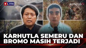 Situasi Terkini, Kawasan Wisata Gunung Latimojong Dan Bromo Dilanda Kebakaran | KOMPAS PETANG