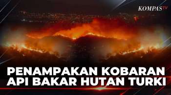 Turki Dilanda Kebakaran Hutan, Api Mengarah Ke Permukiman Warga Di Mugla | KOMPAS PETANG