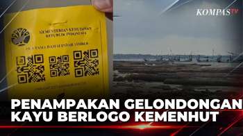 Gelondongan Kayu Berlogo Kemenhut Terdampar Di Pesisir, Rusak Perahu Warga | KOMPAS SIANG