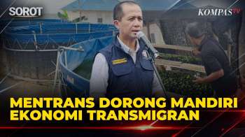 Mentrans Dorong Kemandirian Ekonomi Transmigran, Kembangkan Budidaya Ikan Dan Tanaman
