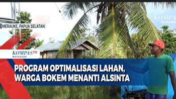 Program Optimalisasi Lahan, Warga Bokem Menanti Alsinta
