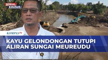 Pasca Banjir Bandang, Sungai Meureudu Pidie Jaya Dibersihkan Dari Kayu Gelondongan Sepanjang 1 Km