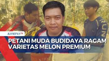 Keren! Petani Muda di Madiun Tanam 7 Jenis Melon Impor & Buka Wisata Petik Sendiri