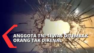 1-anggota-tni-pangkat-kapten-tewas-ditembak-orang-tak-dikenal