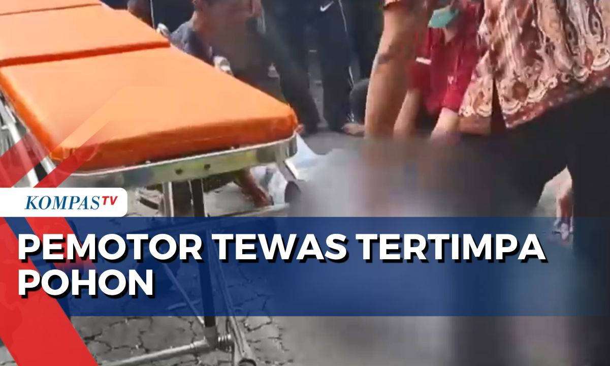 Pohon Tumbang di Kediri, Pengendara Motor Tewas Tertimpa