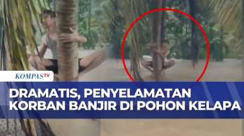 Dramatis! Tim SAR Evakusi Korban Banjir Yang Selamatkan Diri Naik Ke Pohon Kelapa | SAPA MALAM
