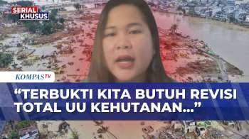 Desakan WALHI Soal Evaluasi UU Kehutanan Buntut Banjir Sumatera: Harus Total, Bukan Parsial!