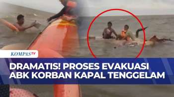 Kapal Tenggelam Dihantam Ombak, 3 ABK Dievakuasi Tim SAR | BERUT