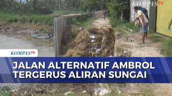 Jalan Alternatif Di Jember Ambrol, Warga Harus Memutar Hingga 4 Km!