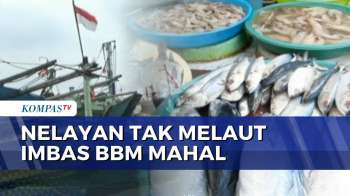Harga BBM Nonsubsidi Hampir Rp30 Ribu Per Liter: Nelayan Tak Melaut, Harga Ikan Ikut Melambung
