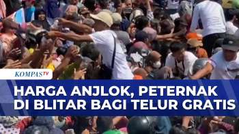 Protes Harga Telur Rendah, Peternak Bagi-Bagi Telur Gratis | SAPA SIANG