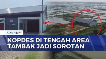 Bangunan Kopdes Merah Putih di Tengah Area Tambak Bikin Publik Heran | SAPA MALAM