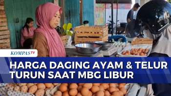 Operasional Dapur MBG Libur, Harga Daging Ayam Dan Telur Turun | KOMPAS SIANG