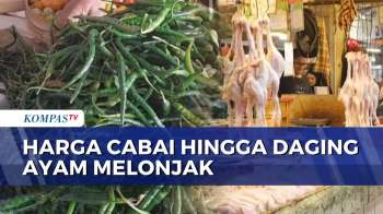 Harga Kebutuhan Pokok Naik: Cabai Tembus Rp45.000 per Kg dan Ayam Potong Rp40.000 per Kg