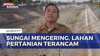 Sungai Gabus Blora Mengering, 300 Hektar Lahan Pertanian Warga Terancam | SAPA MALAM