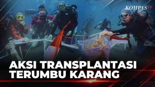 aksi-bahari-komunitas-selam-transplantasi-terumbu-karang-di-pantai-malalayang-manado-kompas-siang