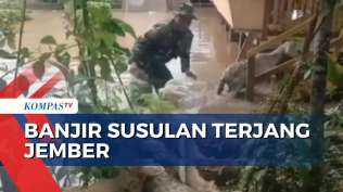 banjir-susulan-di-jember-warga-lansia-anak-anak-hingga-hewan-ternak-dievakuasi