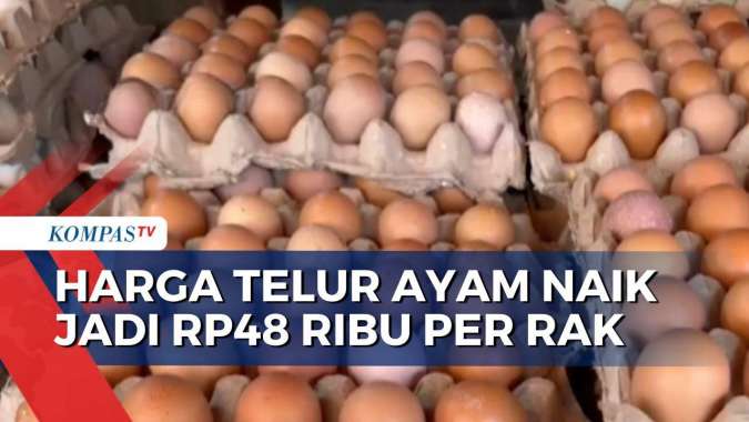 Jelang Ramadan, Harga Telur Ayam di Makassar Naik Jadi Rp48 Ribu per Rak