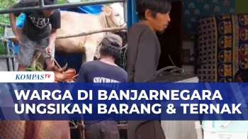 Waspada Longsor Susulan, Warga Di Banjarnegara Ungsikan Barang & Ternak | BERITA UTAMA