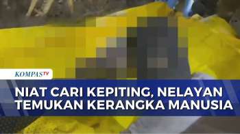 Geger! Niat Cari Kepiting, Seorang Nelayan Di Jambi Temukan Kerangka Manusia | BERUT