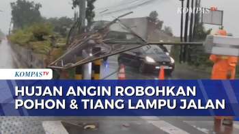 Hujan Disertai Angin Kencang Di Madiun, Pohon Tumbang Dan Tiang Lampu Jalan Roboh
