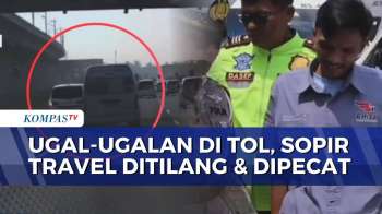 Mobil Travel Ugal-ugalan Di Tol Padaleunyi, Sopir Berakhir Ditilang Dan Dipecat | BERUT