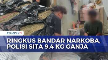 Penggerebekan Bandar Narkoba Di Deli Serdang, Polisi Amankan 9,4 Kg Ganja