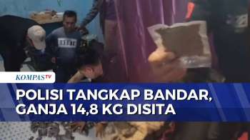 Polisi Tangkap 2 Pengedar Narkoba di Cianjur, Ganja 14,8 Kg Siap Edar Disita | BERUT