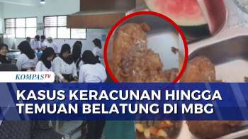 Temuan Bakteri hingga Belatung pada Menu MBG di Semarang dan Kubu Raya Jadi Sorotan!