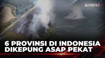6 Provinsi di Kalimantan dan Sumatera Jadi Prioritas Penanganan Darurat Karhutla | KOMPAS MALAM