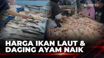 Pedagang Dan Pembeli Keluhkan Kenaikan Harga Ikan Laut Hingga Daging Ayam Di Pasar Tradisional