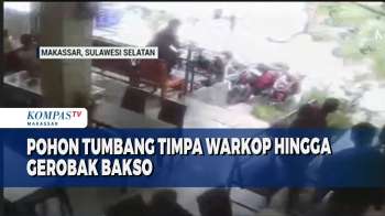 Pohon Tumbang Timpa Warkop Hingga Gerobak Bakso