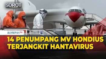 14 Warga Spanyol Terinfeksi Hantavirus Dipulangkan Dari Kapal Pesiar MV Hondius