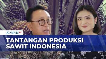 Produksi Sawit Indonesia Stagnan Lima Tahun Terakhir | SAPA PAGI